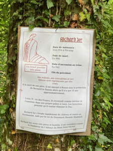 notice on tree